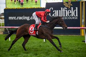 STAKES ASSIGNMENT AWAITS IN-FORM MARE